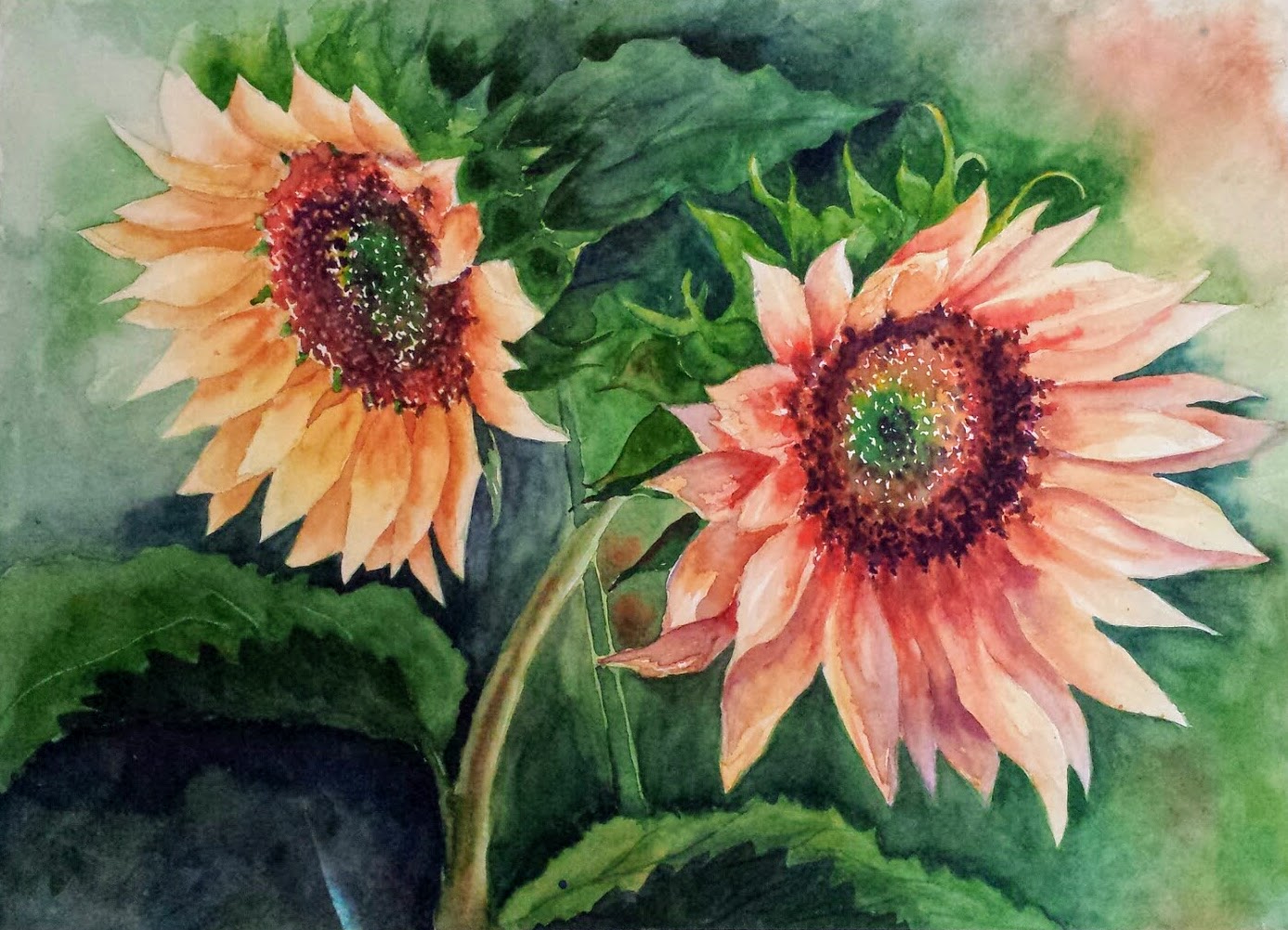 Sunflowers
