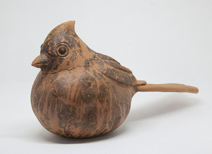 Female cardinal