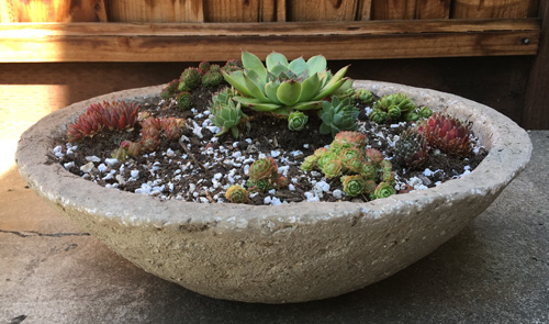 Hypertufa pot